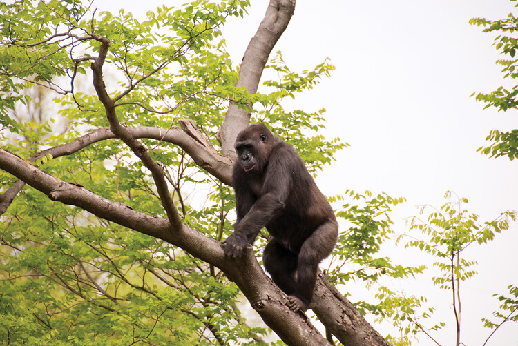 Philadelphia Zoo