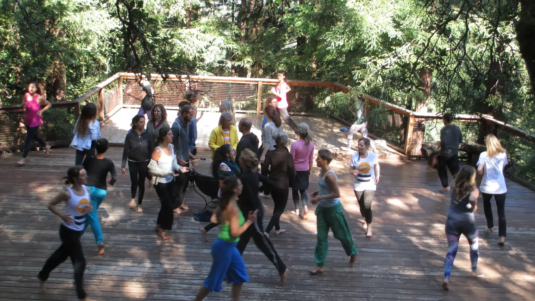 Anna Halprin teaching Planetary Dance&nbsp;to Tamalpa Institute students, May 2015. Photo &copy; Sue Heinemann.