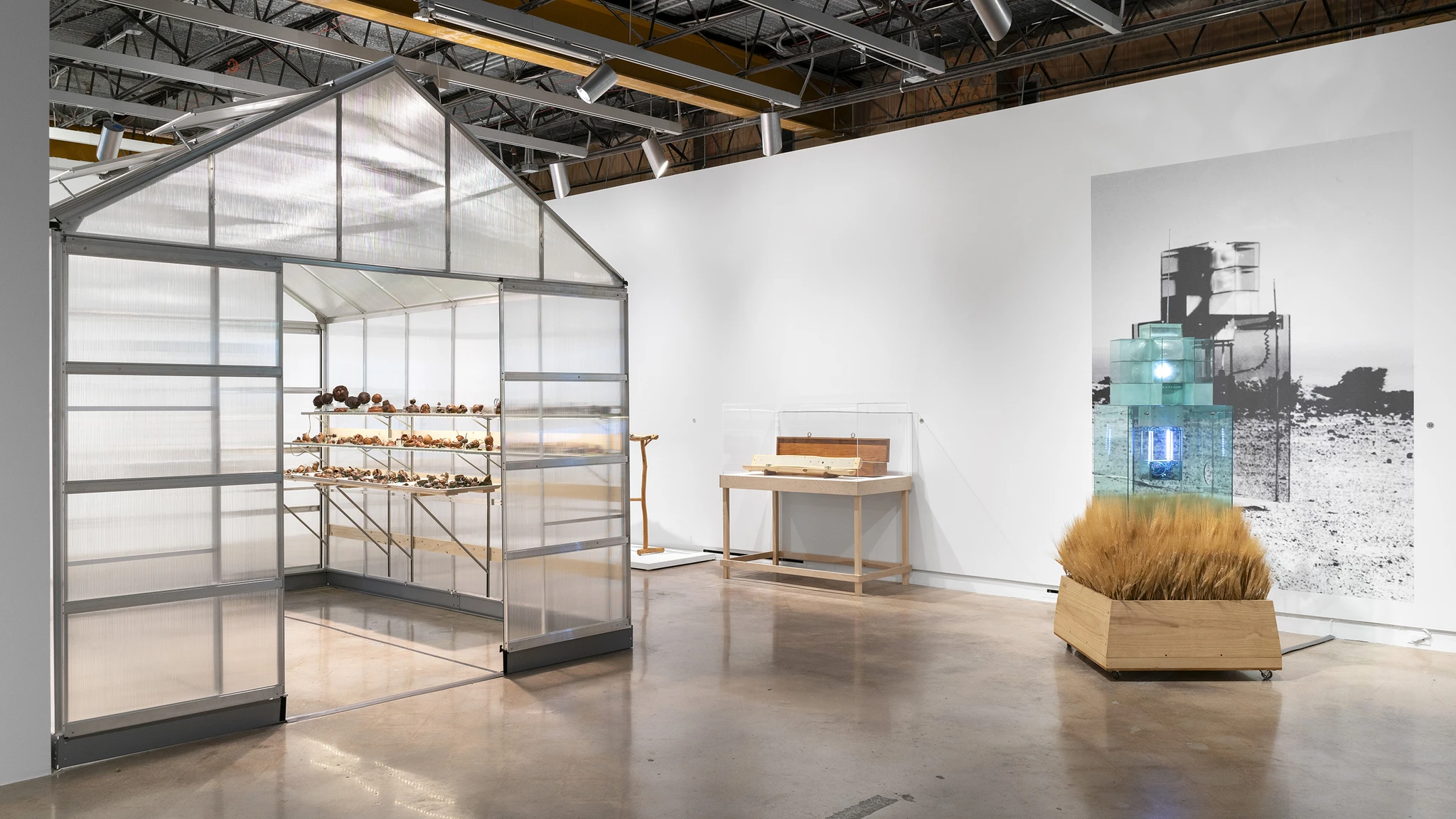 Carl Cheng: Nature Never Loses, 2024, installation view, The Contemporary Austin. Photo by Alex Boeschenstein.