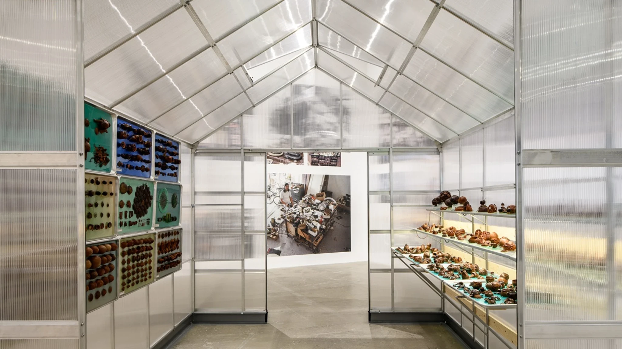 Carl Cheng: Nature Never Loses, 2025 installation view, Institute of Contemporary Art, University of Pennsylvania. Photo by Constance Mensh.