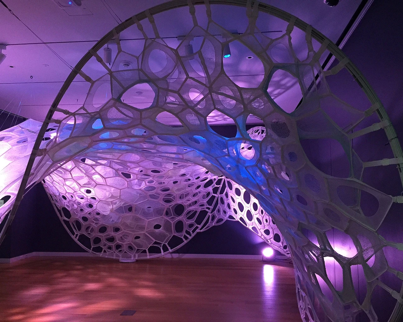 Installation view of the PolyThread&nbsp;knitted textile pavilion, designed by Jenny E. Sabin, commissioned for Beauty&mdash;Cooper Hewitt Design Triennial.