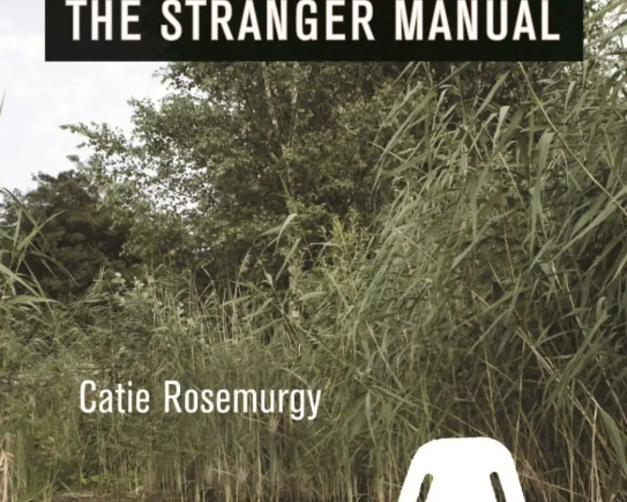 Cover of Catie Rosemurgy&#39;s The Stranger Manual, published by Graywolf Press (2010).