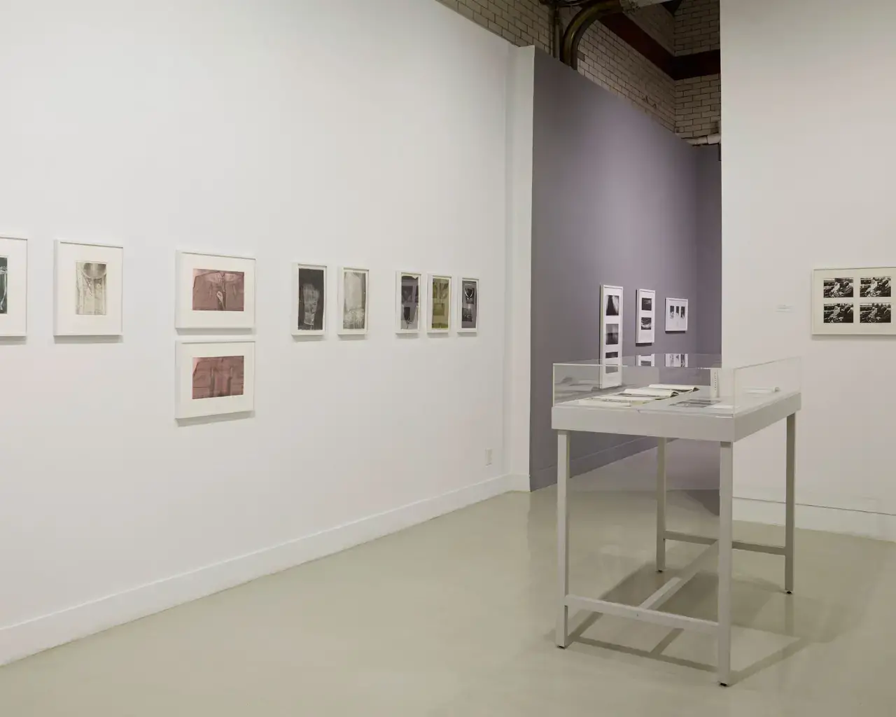 Installation view of Pati Hill: Photocopier, Arcadia University Art Gallery. Left: Photocopied Garments, 1976, 9 examples from the series of black &amp; white copier prints. Photo by Aaron Igler, Greenhouse Media, courtesy of the estate of Pati Hill.
