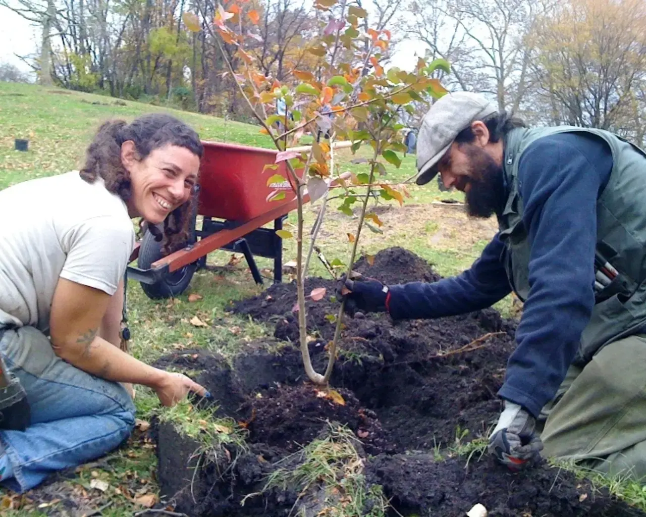 The planting one of 37 fruit trees in the new Bartram&#39;s Orchard, with help from Philadelphia Orchard Project volunteers on November 15, 2011. Photo courtesy of Bartram&#39;s Garden.