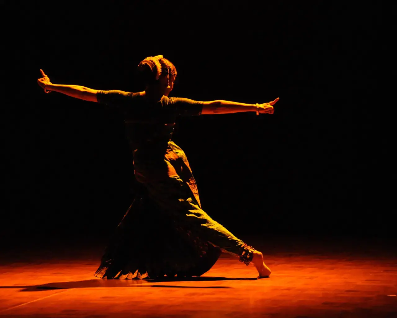 Malavika Sarukkai. Photo courtesy of Deepa Colour Lab, Delhi.