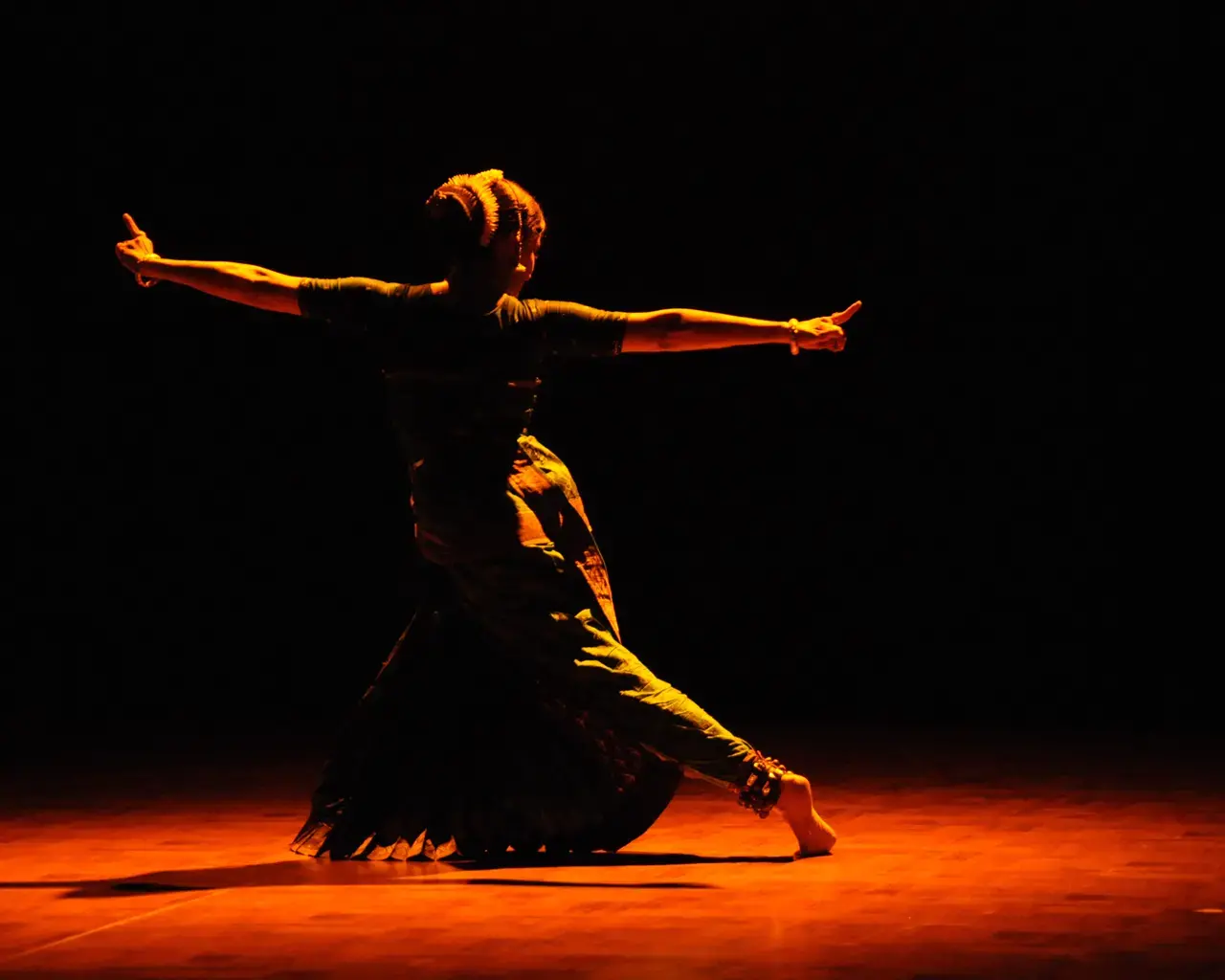 Malavika Sarukkai. Photo by Deepa Colour Lab Delhi.