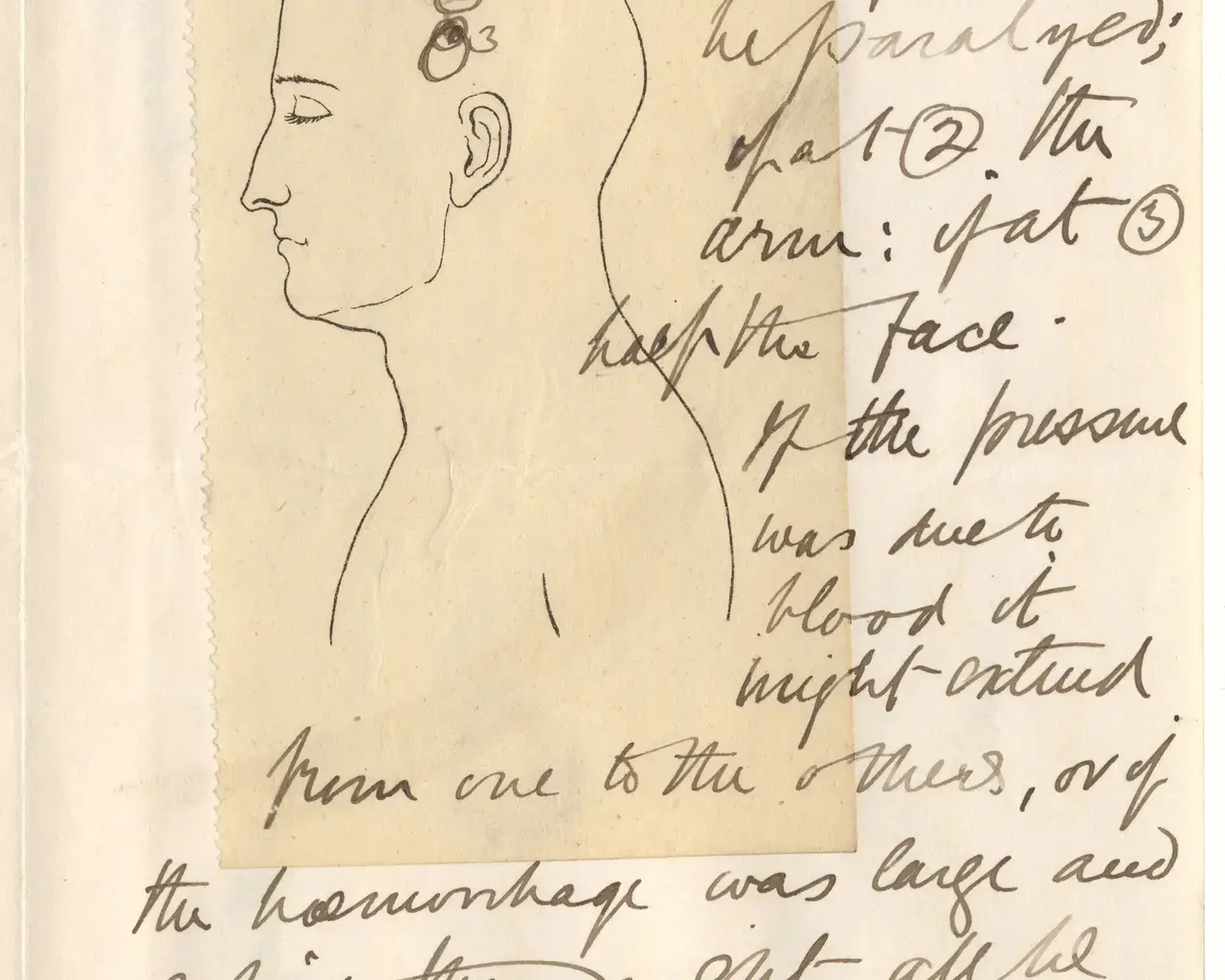 From neuroscience and blood transfusions to hypnotism and phonograph recordings, Stoker&rsquo;s Dracula&nbsp;is as much a chronicle of scientific, medical, and technological advances as it is the tale of the monster that threatens it all. Courtesy of The Rosenbach.