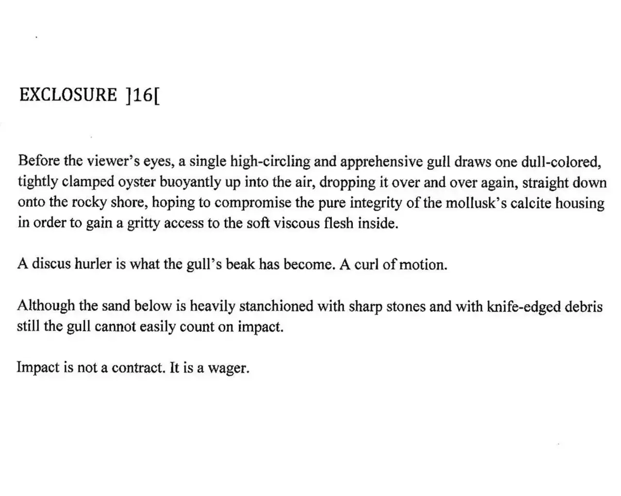 Excerpt from Emily Abendroth&#39;s EXCLOSURES 1&ndash;8&nbsp;(Albion Books, 2012).