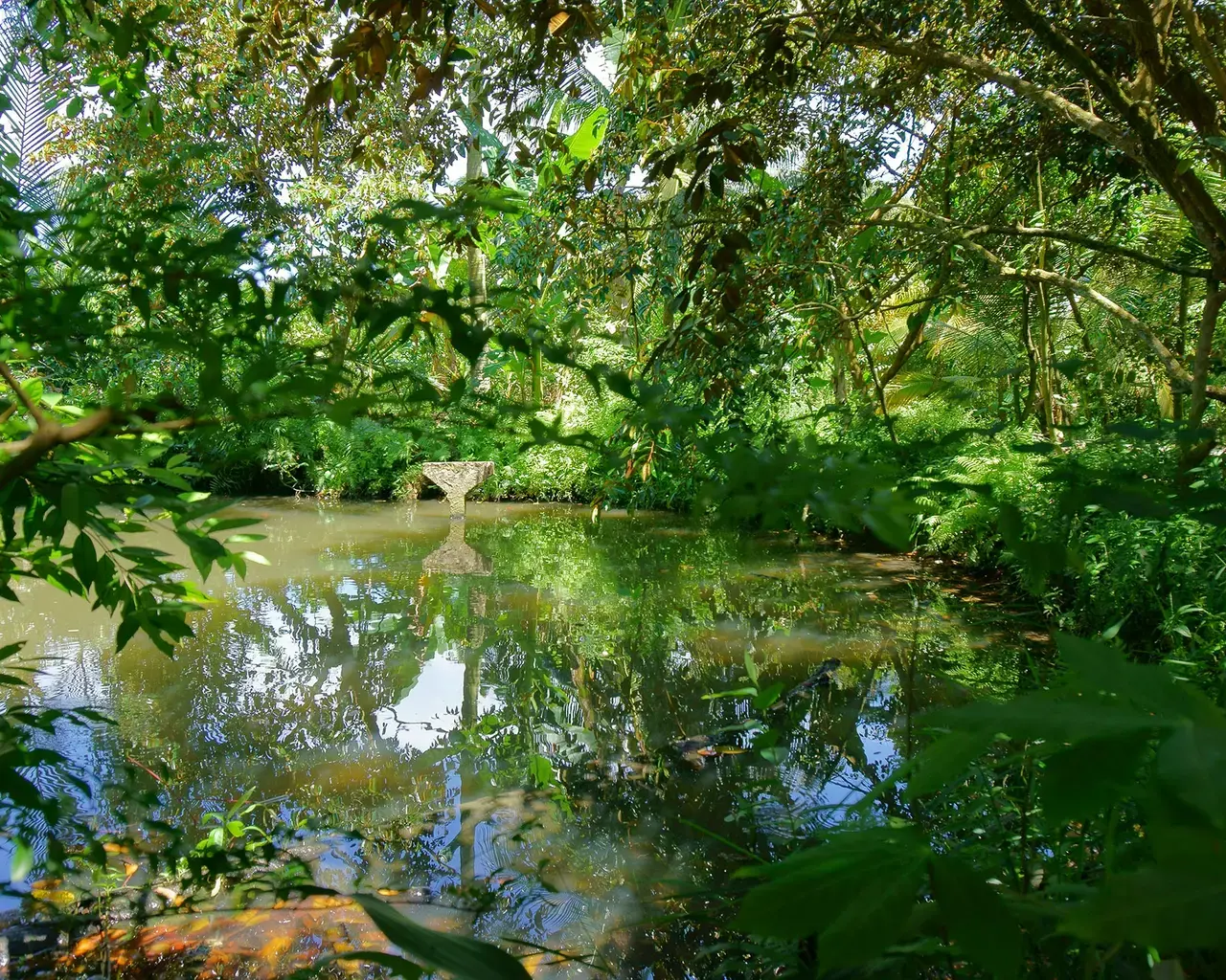 Boone Nguyen, Untitled, 2015, presented through Bomb Crater Pond Series. Photo courtesy of Asian Arts Initiative.