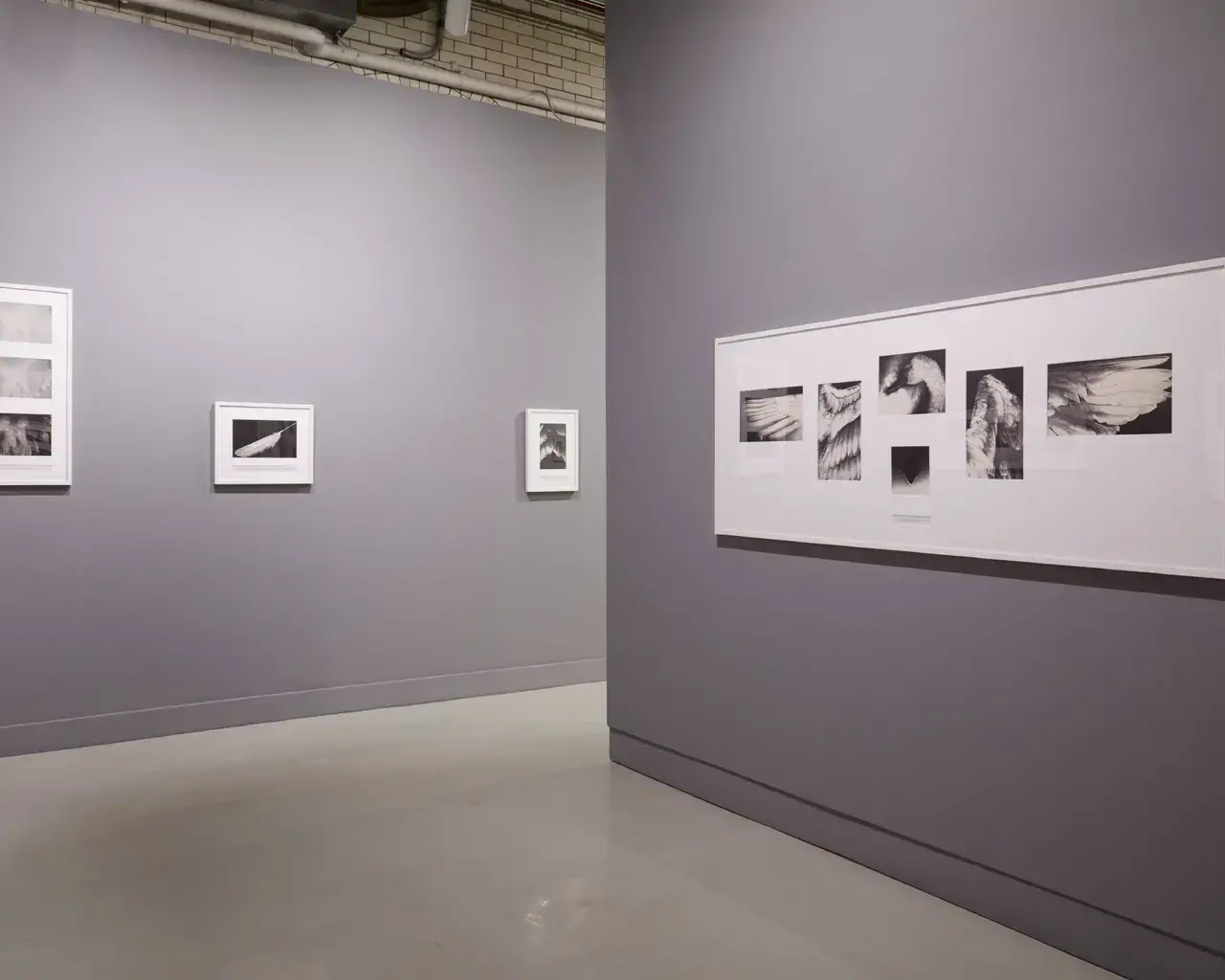 Installation view of Pati Hill: Photocopier, Arcadia University Art Gallery. A Swan: An Opera in Nine Chapters, 1978, 32 captioned black &amp; white copier prints, dimensions variable. Photo by Aaron Igler, Greenhouse Media, courtesy of the estate of Pati Hill.