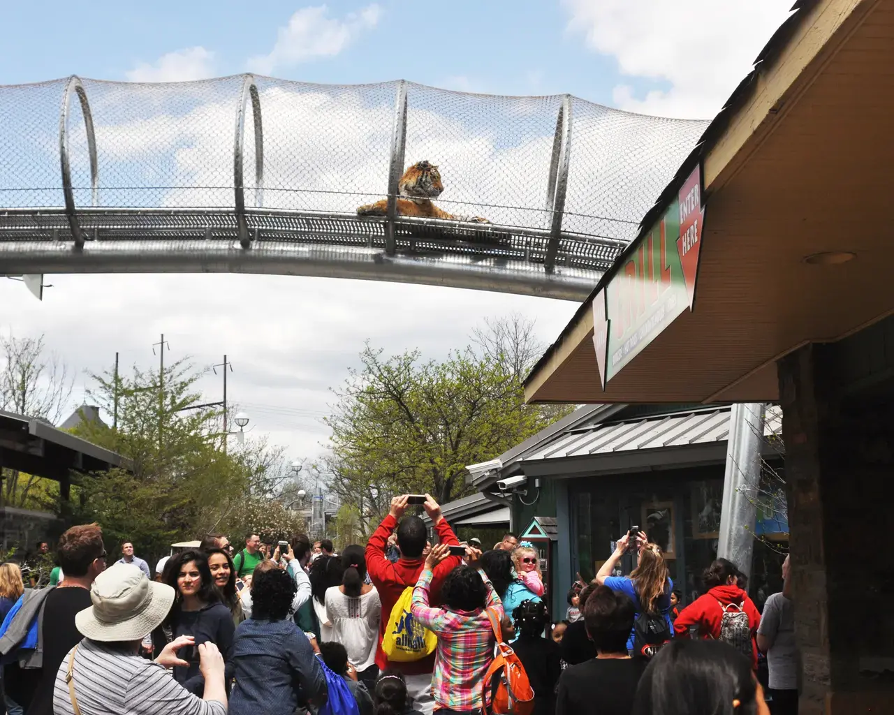 Zoo-goers interacting with the Big Cat Crossing Trail at the Philadelphia Zoo. Courtesy of the Philadelphia Zoo.