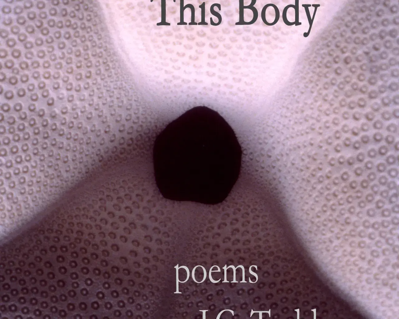 Cover of J.C. Todd&#39;s What Space This Body (Wind Publications, 2008). Design by Christina Manucy. Photograph by Ellen M. Siddons.&nbsp;