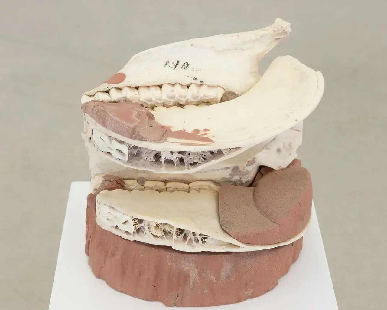 Matthew Angelo Harrison, "Bodily Study of Unthinking Groups," 2016, skull and clay, 41 1/4 x 9 1/5 x 9 1/5 inches. Photo courtesy of the Institute of Contemporary Art.