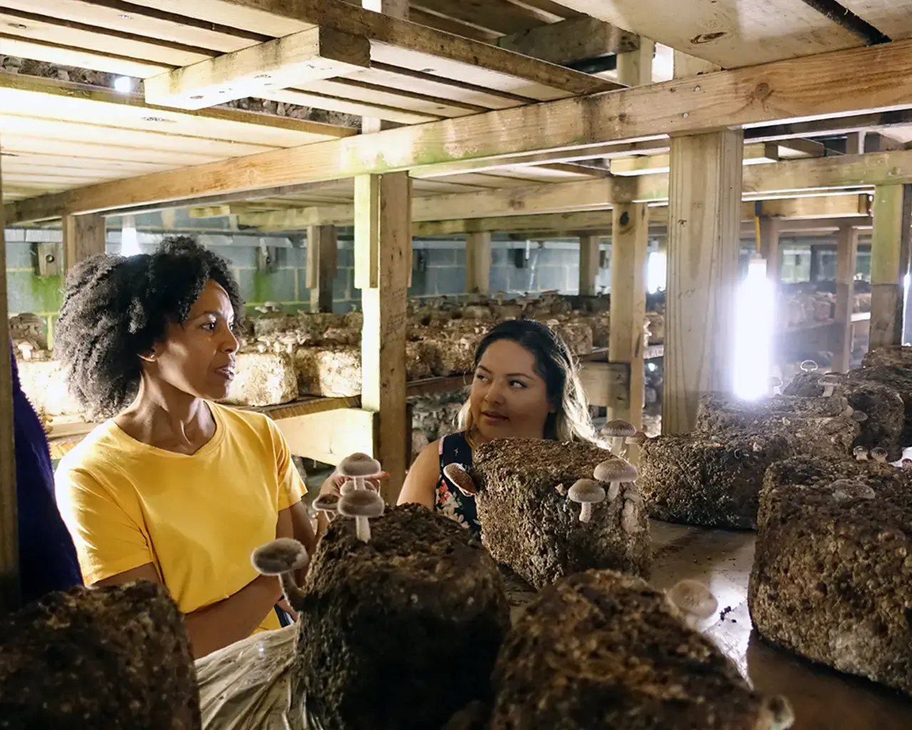 Mushroom&nbsp;playwright Eisa Davis with a community stakeholder in Kennett Square, Pennsylvania, mushroom growing house. Photo by Bobby Plasencia.