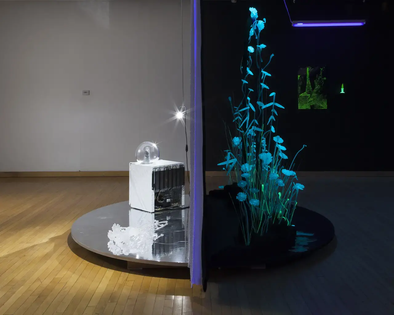 Pew Fellow Kristen Neville Taylor,&nbsp;FOREVER MORE,&nbsp;installation view, 2018, Fleisher Art Memorial, Philadelphia, PA. Photo by Haigan Pearson.