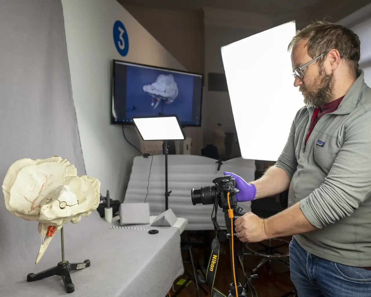 The College of Physicians of Philadelphia/Mütter Museum, collections manager &amp; registrar Lowell Flanders photographing 2016.8.1, a teaching model of an enlarged ear. Photo by Constance Mensh.