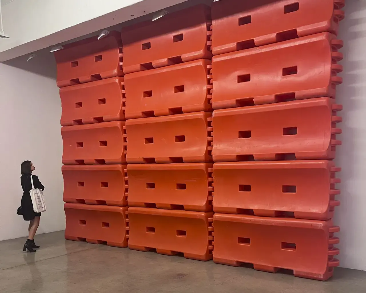 Karyn Olivier's Barrier Wall installation.