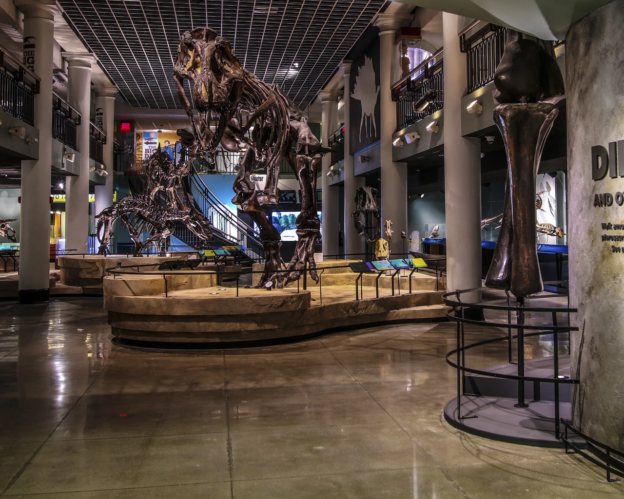 Academy of Natural Sciences, Dinosaur Hall. Photo by Mike Servedio.