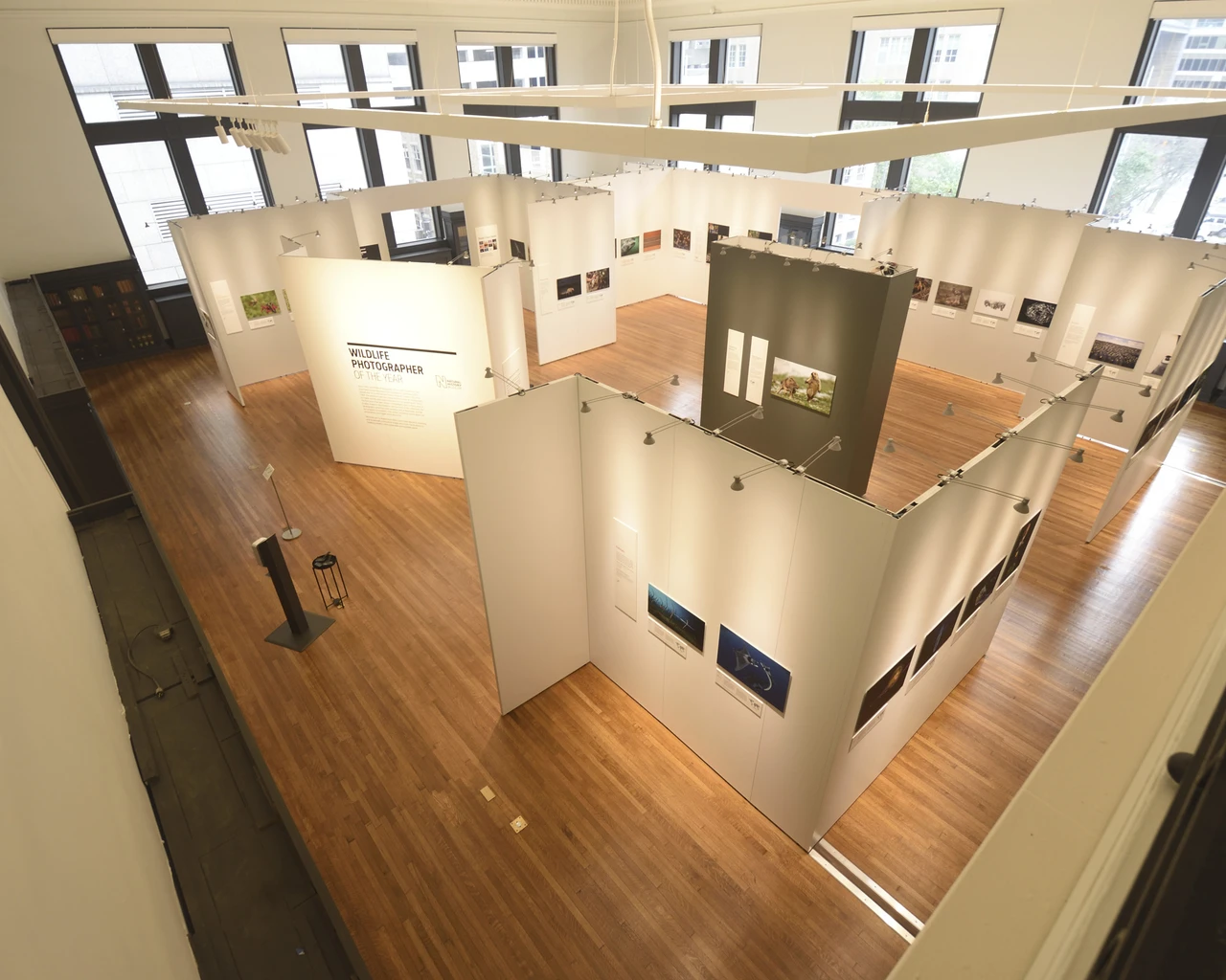The Academy of Natural Sciences, William B. Dietrich Gallery. Photo courtesy of the Academy of Natural Sciences.