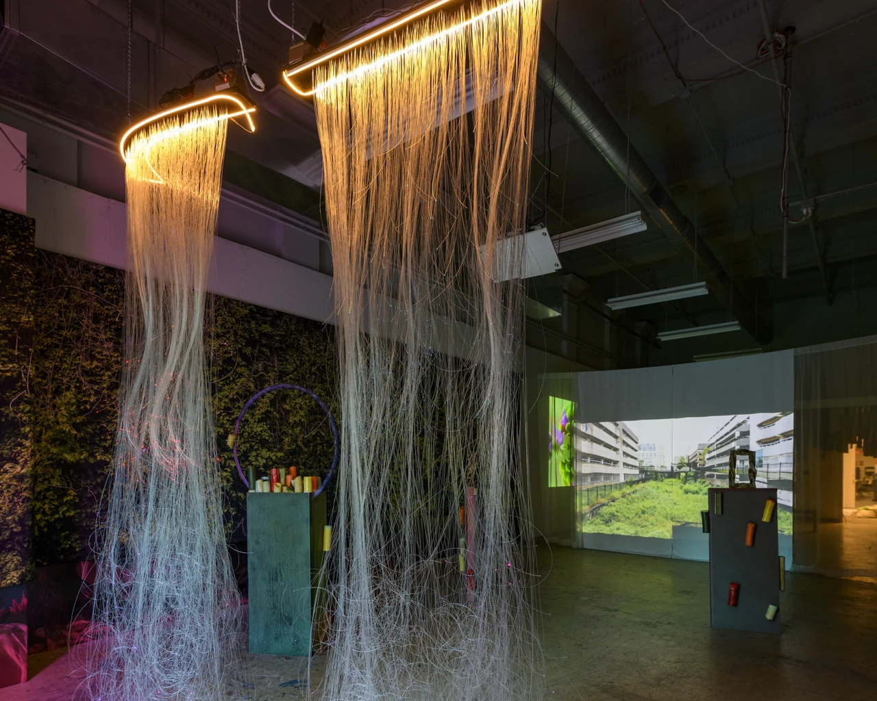 Asian Arts Initiative, Invasive Species, 2023, installation view. Photo by Albert Yee.