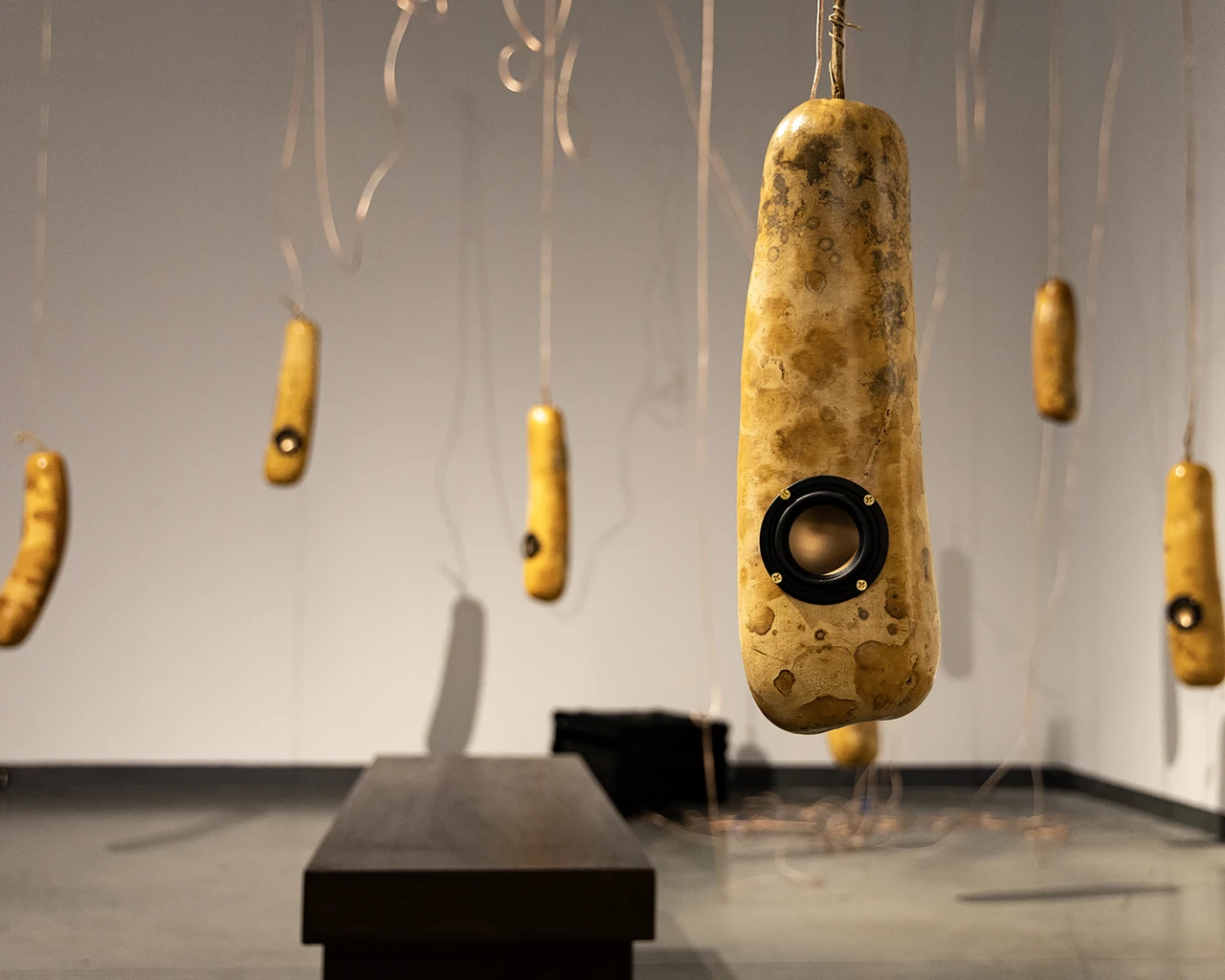 Pew Fellow Raúl Romero, Con semillas de aquí y allá, a sound installation featuring dried gourds containing speakers. Photo by the artist.