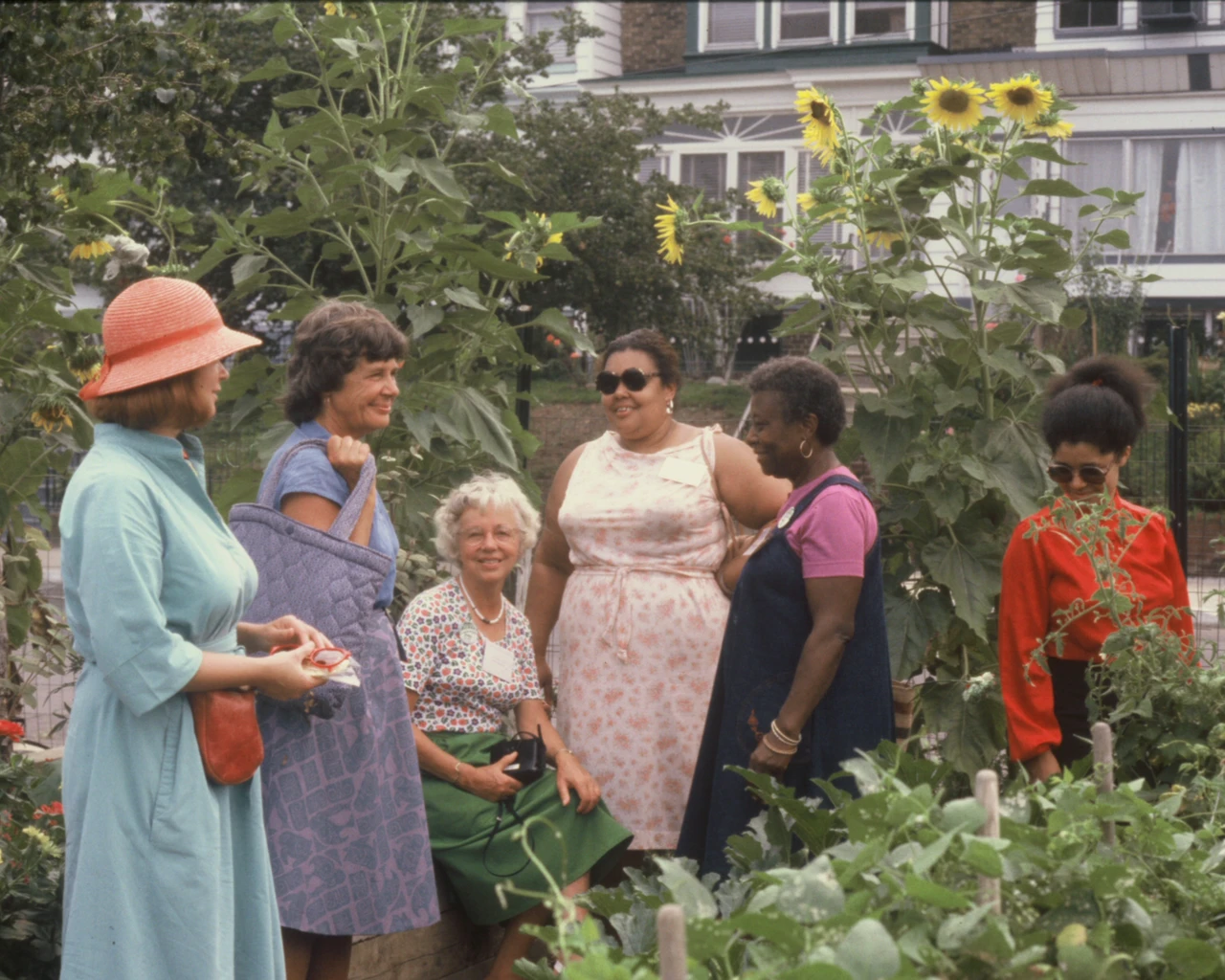 City Gardens Contest judging, 1979. Image from the PHS archives.