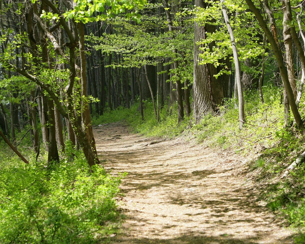 Schuylkill Center for Environmental Education. Photo courtesy of the Schuylkill Center.