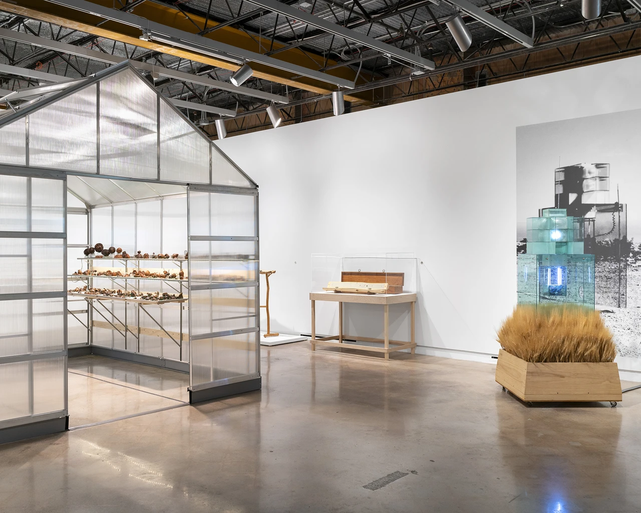 Carl Cheng: Nature Never Loses, 2024, installation view, The Contemporary Austin. Photo by Alex Boeschenstein.