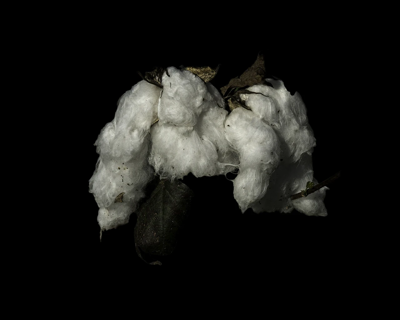 Pew Fellow John E. Dowell Jr., Stolen Moments, 2024, photograph, 34" x 26", Solway Gallery, Cincinnati, Ohio. Courtesy of John E. Dowell Jr.