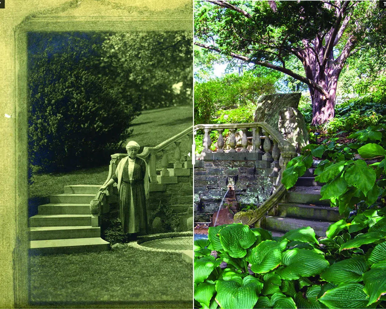 Lydia&rsquo;s Seat, featured in Morris Arboretum&rsquo;s Then and Now online experience, in which historic images of garden locations are contrasted with contemporary images of the same spot. Each featured location has an accompanying audio recording, which places the location in historical context. Photo courtesy of Morris Arboretum.