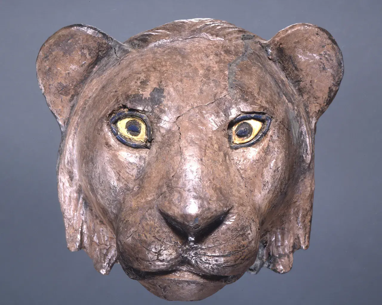 Head of lion (height: 11 cm; width: 12 cm) made of silver, lapis lazuli and shell, from the Royal Cemetery of Ur, ca 2550 BCE. Photo courtesy of Penn Museum.