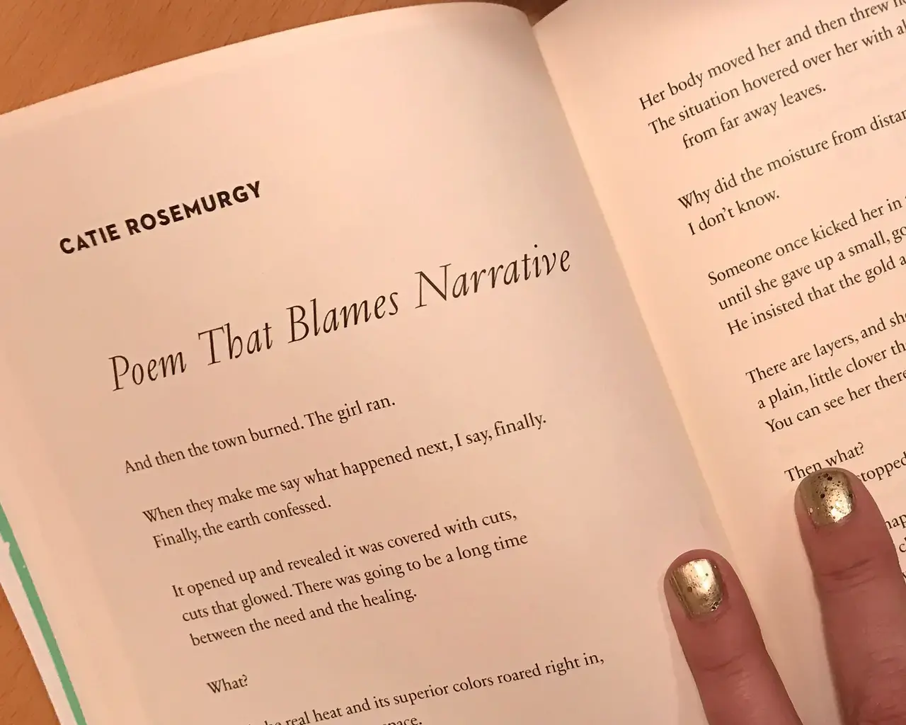 Catie Rosemurgy, Poem that Blames Narrative, 2016, Harvard Review Number 49, guest edited by Paul Harding.