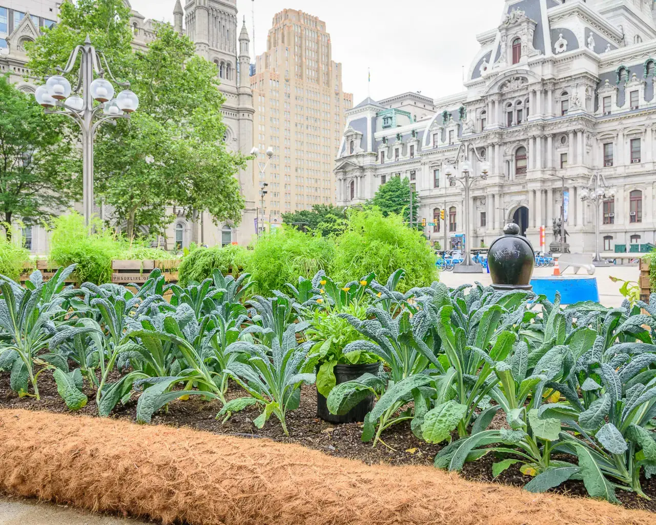 Farm for the City installation at Thomas Paine Plaza. Photo by Rob Cardillo Photography.