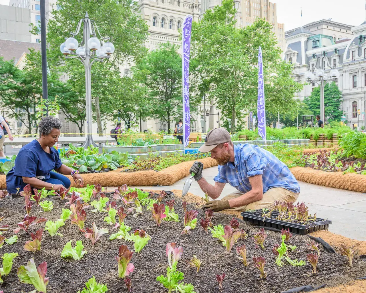 Farm for the City installation at Thomas Paine Plaza. Photo by Rob Cardillo Photography.