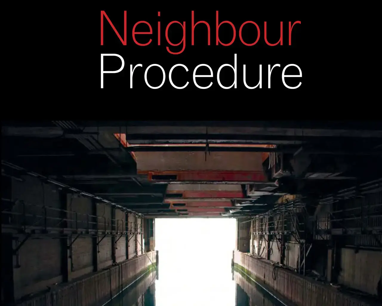 Syd Zolf, Neighbour Procedure cover, Coach House Books. Cover art by Nathan Kensinger, photo courtesy of the artist.
