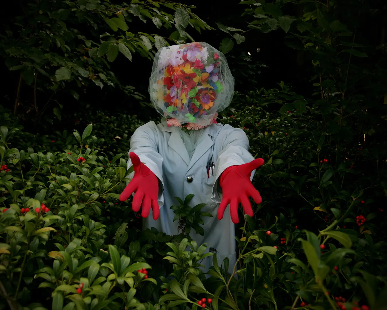Flower Face from COLD EMPTY TERRIBLE, 2014. Photo by Mike Hipple.