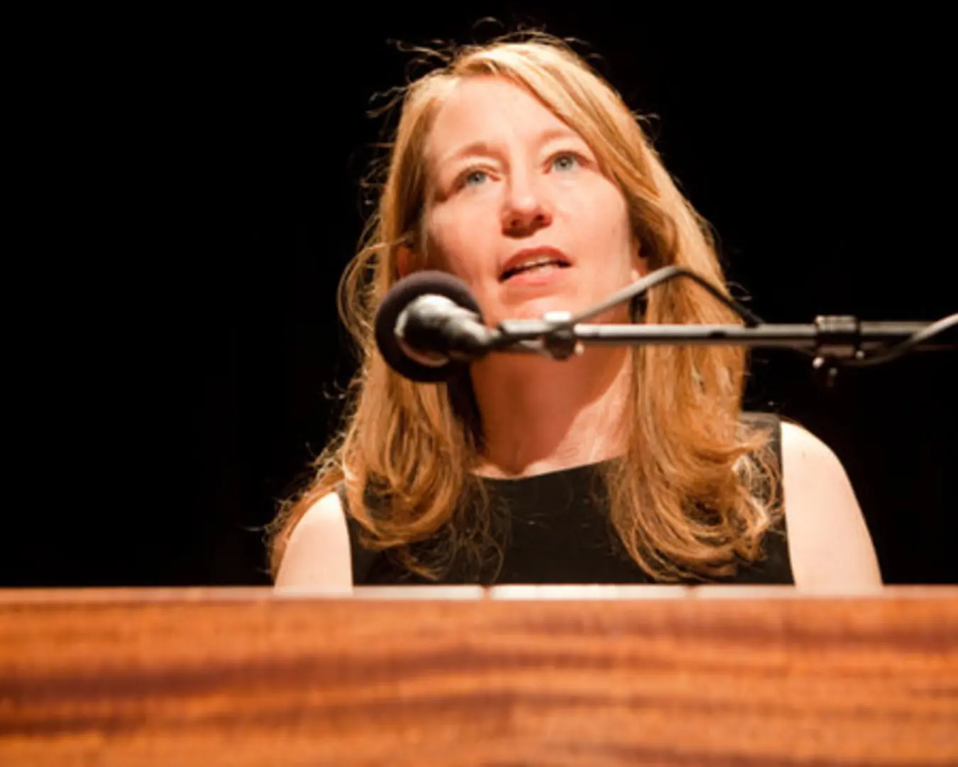 Diane Ragsdale at the Arts Alliance Illinois 2010 members' meeting and reception, June 2010.