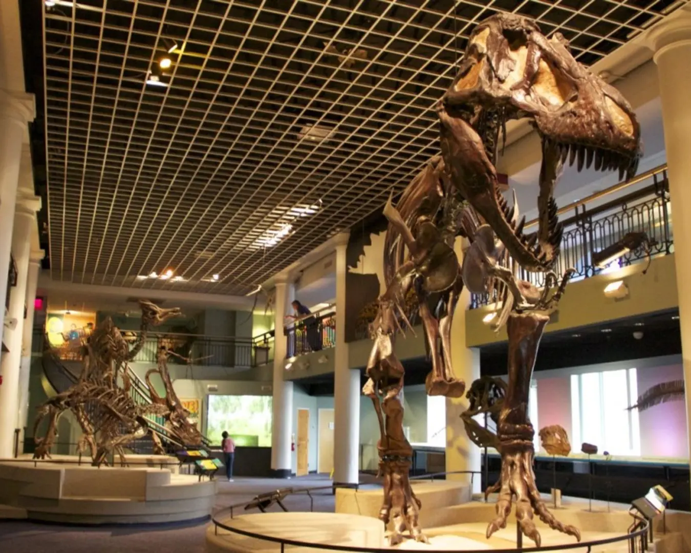 The Academy of Natural Sciences.