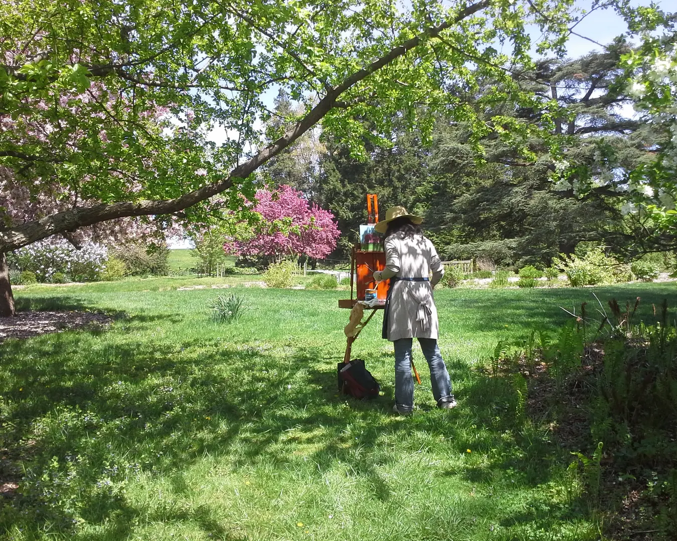 Capturing the spring landscape on canvas at the Morris Arboretum. Courtesy of the Morris Arboretum.