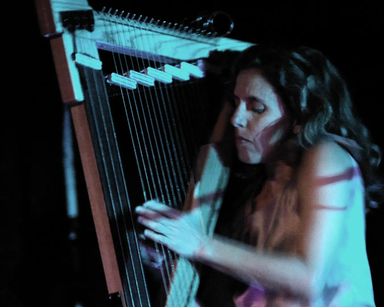 Zeena Parkins. Photo by Peter B. Kaars.
