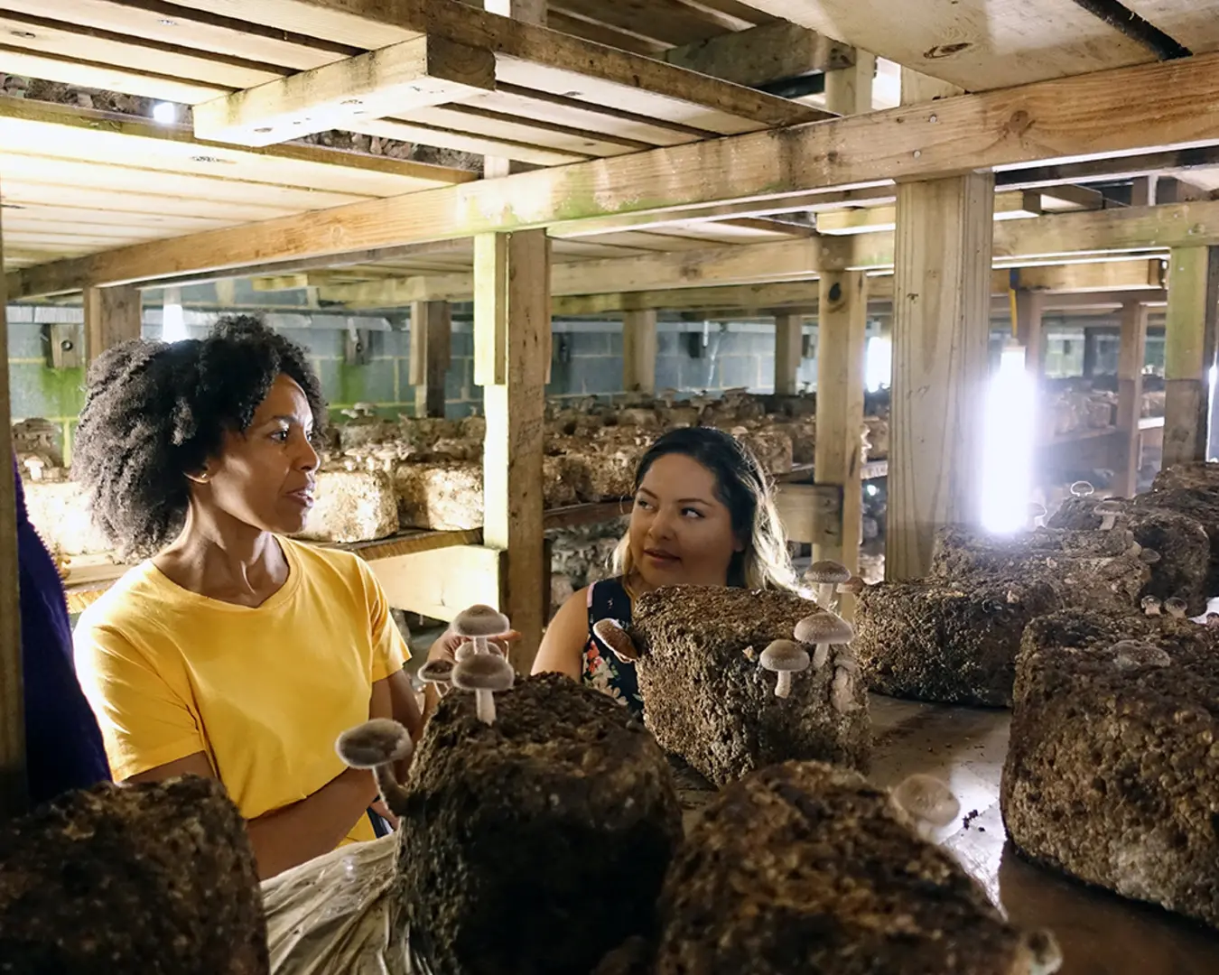 Mushroom&nbsp;playwright Eisa Davis with a community stakeholder in Kennett Square, Pennsylvania, mushroom growing house. Photo by Bobby Plasencia.