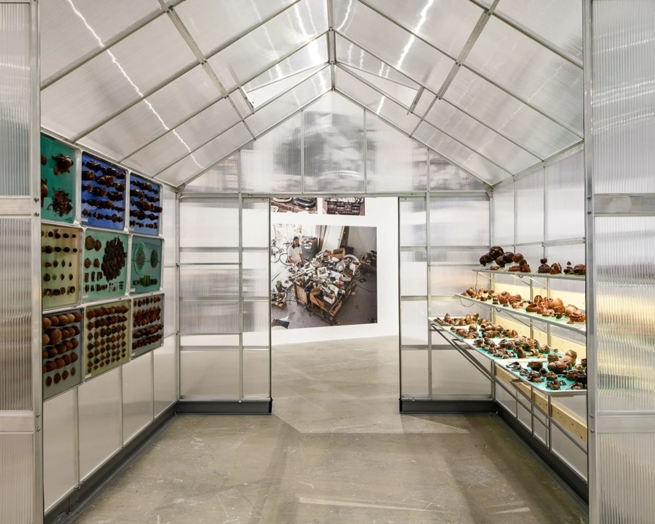 Carl Cheng: Nature Never Loses, 2025 installation view, Institute of Contemporary Art, University of Pennsylvania. Photo by Constance Mensh.
