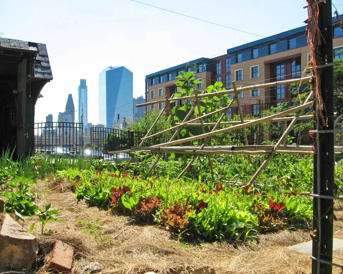 The Summer Winter Community Garden at 32nd and Summer Streets in Philadelphia, a community garden supported through Pennsylvania Horticultural Society (PHS). Photo courtesy of PHS.