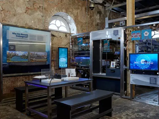 The Rivers Restoration Project, installation view, 2017. Courtesy of the Fairmount Water Works.