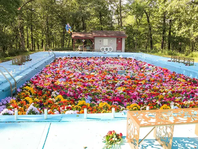 Ebony G. Patterson, ...called up,&nbsp;2018, installation in abandoned pool, part of Open Spaces festival in Kansas City. Photo courtesy of The Village of Arts and Humanities.