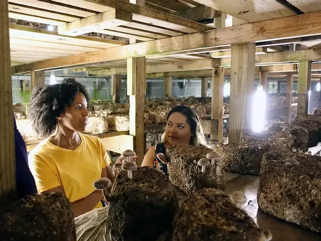 Mushroom&nbsp;playwright Eisa Davis with a community stakeholder in Kennett Square, Pennsylvania, mushroom growing house. Photo by Bobby Plasencia.