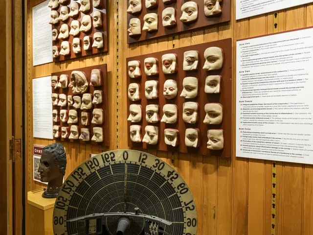 A display of wax models showing various eye conditions used to train physicians at the Mütter Museum. Photo by Constance Mensh.