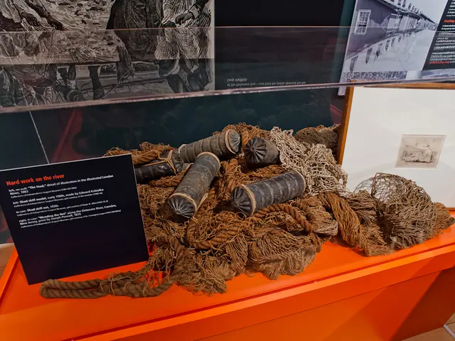 Shad nets used by workers to catch shad as they swam in from the Atlantic Ocean to their breeding ground in the Upper Delaware. Courtesy of Independence Seaport Museum.