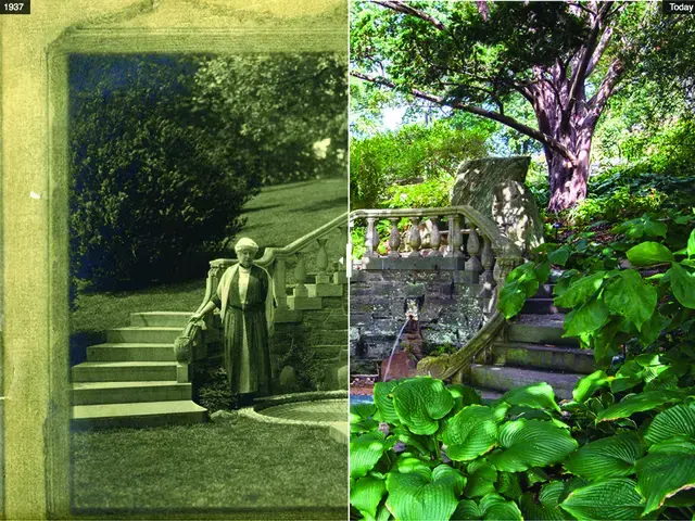 Lydia&rsquo;s Seat, featured in Morris Arboretum&rsquo;s Then and Now online experience, in which historic images of garden locations are contrasted with contemporary images of the same spot. Each featured location has an accompanying audio recording, which places the location in historical context. Photo courtesy of Morris Arboretum.