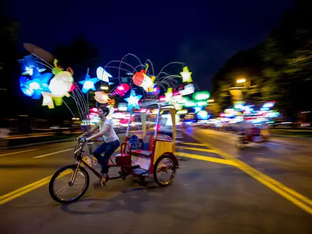 Cai Guo-Qiang: Fireflies, 2017. Photo by Jeff Fusco, courtesy of Association for Public Art.